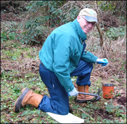 Darrell plants strawberries