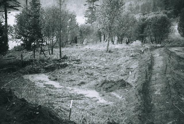 Early photo of Shorewood