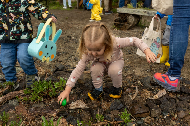 DFP 20250419 2023-Under-5-Cropped