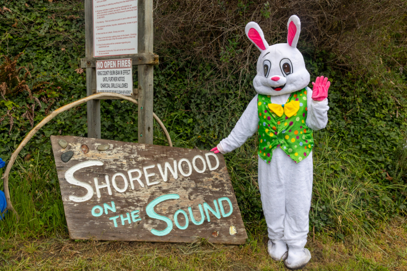 DFP 20250419 2027-Bunny