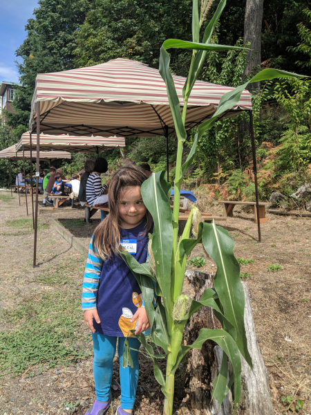 MVIMG 20190810 123621