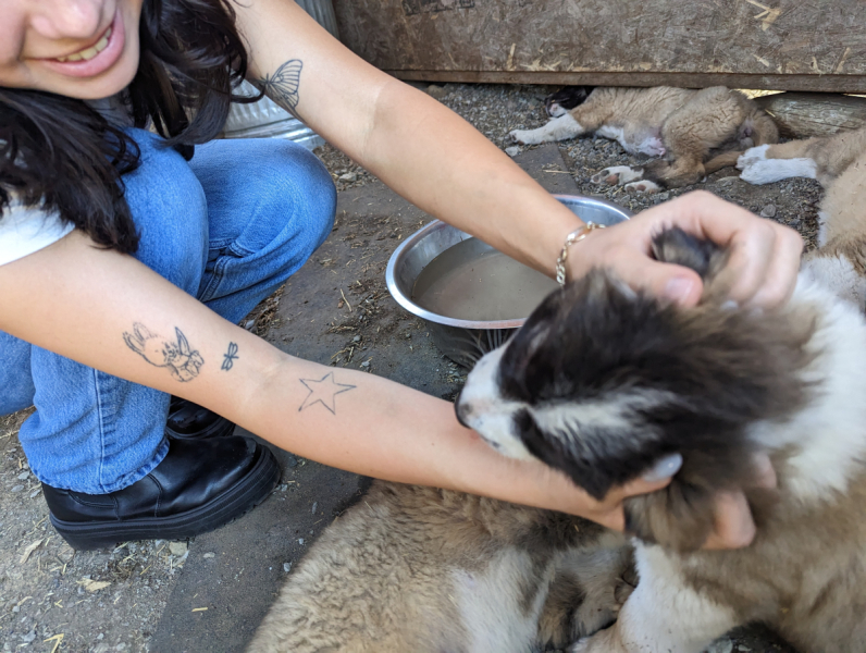 PXL 20230715 205600720