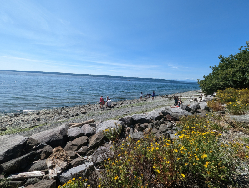 PXL 20230812 210408742