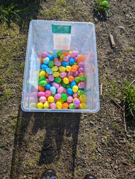 PXL 20240330 170835231.MP 