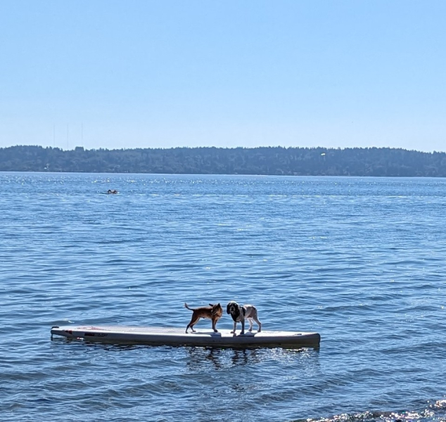 PXL 20240714 230644057.MP3