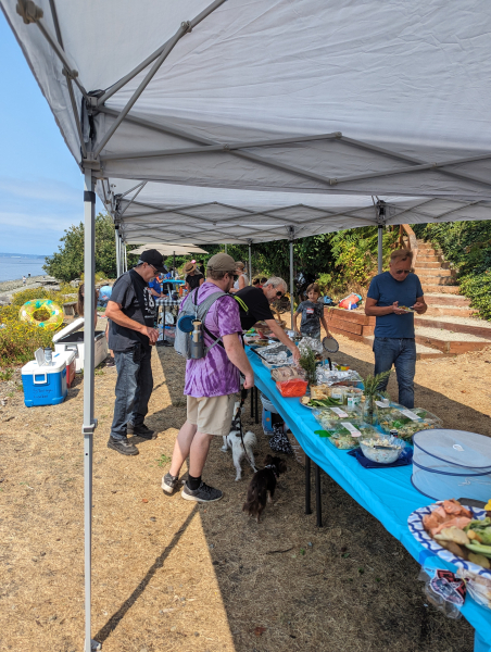 PXL 20240810 191604562.MP 