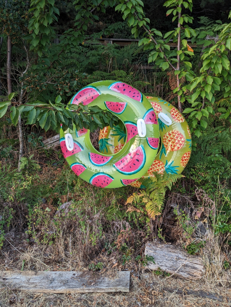 PXL 20240817 030023507.PORTRAIT.ORIGINAL